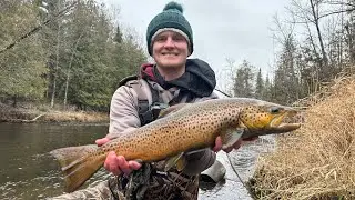 Brown Trout Fishing in the Winter  - Brown Trout, Lake Runs, Rainbow Trout