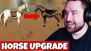 Kolik DMG přidá levelování koně!? Tutorial - Metin2 TIGERGHOST