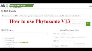 Phytozome v13 } How to use Phytozome v13 | CDS Genome Protein Sequence from Phytozome V13