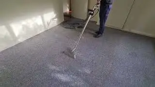 Melbourne Carpet Cleaning Experts &ndash; Affordable, Eco-Friendly and Pet-Friendly Carpet Cleaning