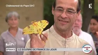 ANIMAUX : Dans le Vaucluse, les papillons ont leur ferme