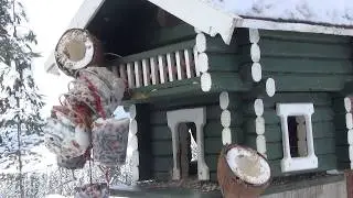Sm&aring;fuglenes ve og vel, p&aring; brett og i kasser, med Trond &Oslash;igarden og Titus Overdevest