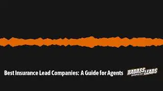 Best Insurance Lead Companies: A Guide for Agents [Updated 2024]