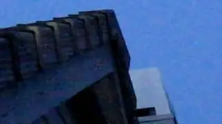 Bats living under roof tiles