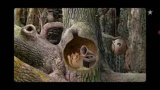 Обзор лучшей игры детства Samorost 1