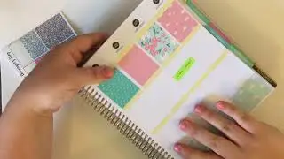 Pawspaper - Plan with Me