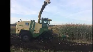 Krone Big X Chopper harvesting with Zuidberg North America Tracks