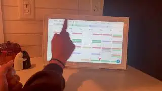 Honest Review of the Skylight Calendar