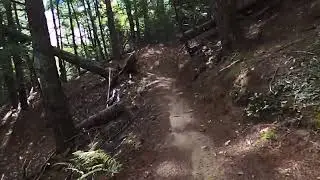 Bear Brook State Park, Allenstown, NH  17Sep25 part one of Hemlock Trail