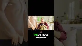 NETVUE Birdfy AI Hummingbird Feeder Review &ndash; Best Smart Bird Feeder with Dual Cameras 2024!