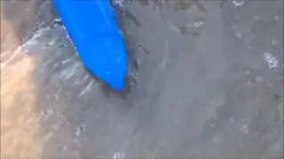 Shark Attack - AG VERY short movie