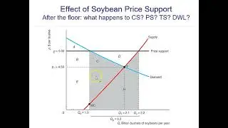 Welfare effects of price floor
