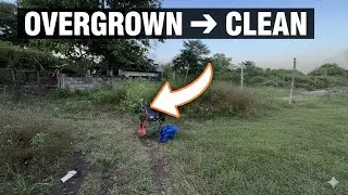 Cleaning an Overgrown Vacant Lot | Weed Removal & Herbicide Application