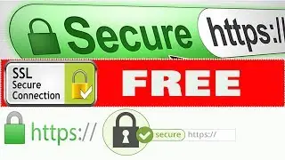 SSL Certificate for Your Website/ Green Padlock and ssl certificate/ https secure browser with ssl