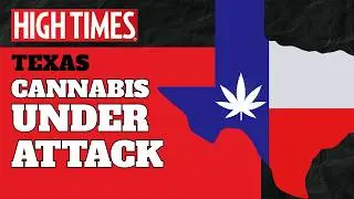 Texas Built a Cannabis Empire &mdash; Now It&rsquo;s Under Attack | Texas Cannabis Chronicles (Trailer)