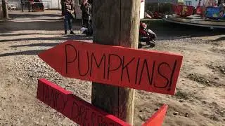 Farmer Copleys Pumpkin Festival