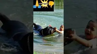 Dog stand, #vairalvideo ##..