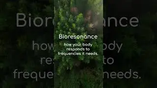 What is Bioresonance?