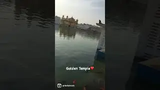 Golden Temple❤️ #travel #gratitude #history #india #meditation #trending #story #love #nature