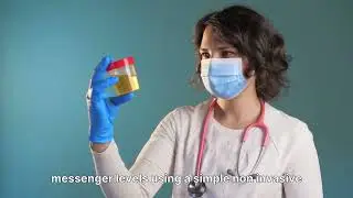 The Brain and Spine Connection in Scoliosis Explained
