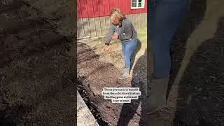 👉 Tip: Direct sow perennial flower seeds in the fall #perennial #wildflowers #fall