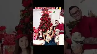 chismes Peludos 🐶🐱 🎁🎄 #animales #mascotas #navidad #peru