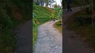 Jale chahe sara zamana😎#feed#shortsfeed#shorts#feedshorts#dance#nature#govinda#old#reels#feeds