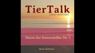 081 Stress der Immunkiller Nr  1