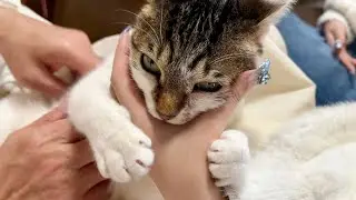 病院ヤダって言ったのに！！帰宅したこーちゃん激怒😡