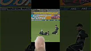 crickey#video# video