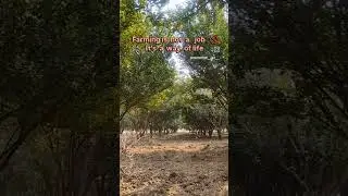 #farming #farmer #farmlife #farm #photography
