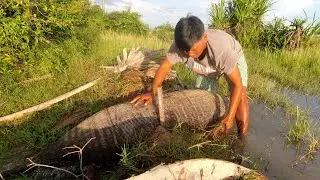 The Simple Living Of Cambodia Farmer Catching A Lot Of Fishes by Local Way