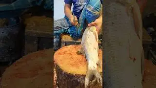 Amazing Rohu fish Cutting skills in Bangladesh fish market by experts cutter#shorts