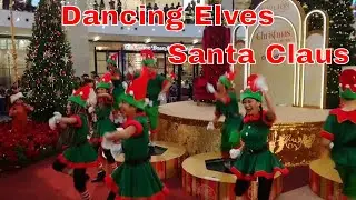 Santa Claus Elves Dancing Show