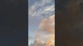 long tail kite flying in Grenada 🇬🇩 Easter Sunday