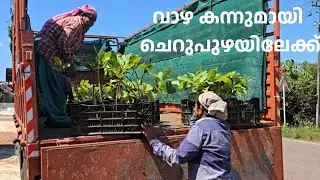 ചെറുപുഴയിലേക്ക് | Pookkulathel AgriFarm