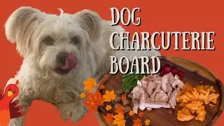 Балую свою собаку доской Barkcuterie ко Дню благодарения
