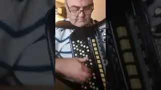 Desino kolo
