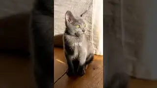 #에너지농법,겨울은 땅 사람 발효.