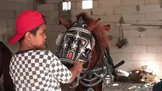 Peternakan Kuda di Kampung Tidar