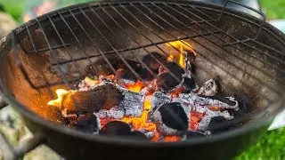 Royal Oak Hardwood Lump Charcoal