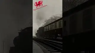 [TSC Shorts 37] SDJR no.53802 Dai struggles to start at Pant-y-gassog, on the Penwyth valley railway
