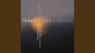 Solace (A Lyric Concerto) : V. Work