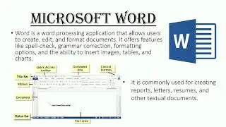 Productivity Software - Microsoft Office Suite