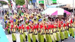 朝霞鳴子一族め組　in　浦和よさこい  2015