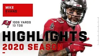 Mike Evans Full Season Highlights | NFL 2020