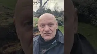 Как я зарабатываю более 200 долларов в день пассивного дохода с помощью автоматизации криптовалют...