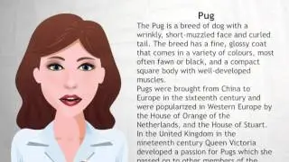 Pug - Wiki Videos