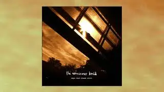 The Vermicious Knid - Days That Stand Still (2002)