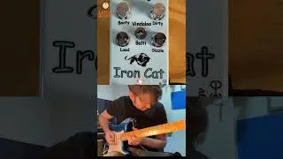Iron Cat Pedal 🔥 SCREAMING SOLO TONES | Hi-Gain Guitar Pedal #shorts #guitar #guitarpedals